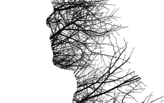 viso stilizzato con benda fatta a ragnatela