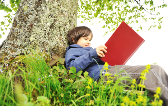 bambina che legge sotto un albero